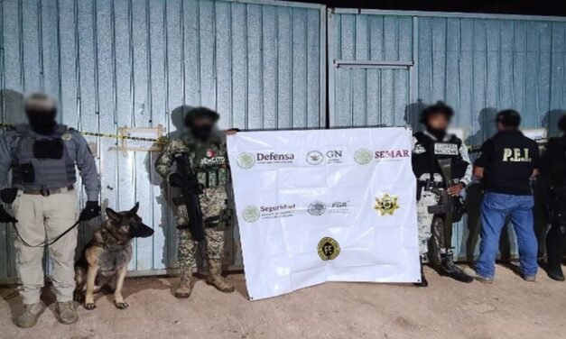 Cateo en vivienda del municipio de Seyé ¿Qué encontraron?