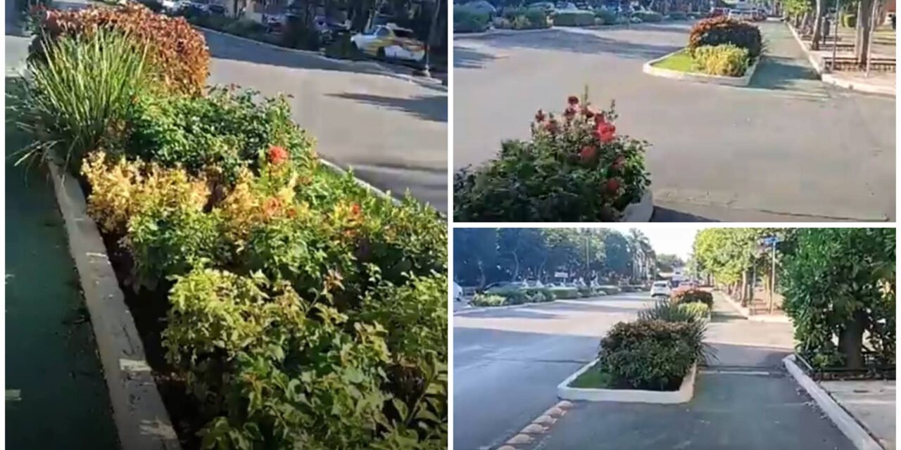 Primer grupo civil en defensa de la movilidad en Paseo de Montejo