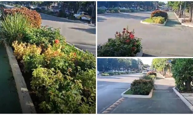 Primer grupo civil en defensa de la movilidad en Paseo de Montejo