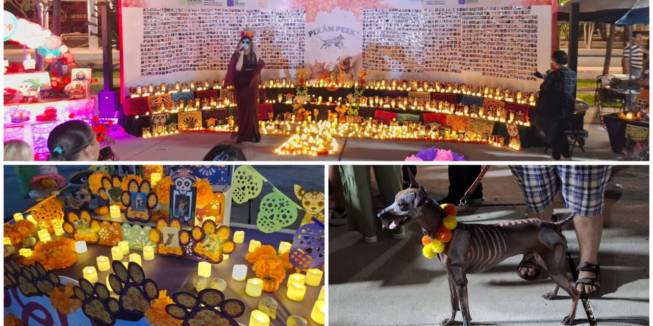 Pixán Peek 2025: entre la memoria y la convivencia