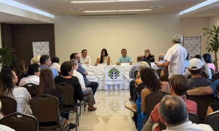 A puerta cerrada revisan movilidad en Paseo de Montejo