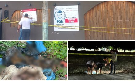 Pagaron por cremación de mascotas, recibieron tierra en vez de cenizas