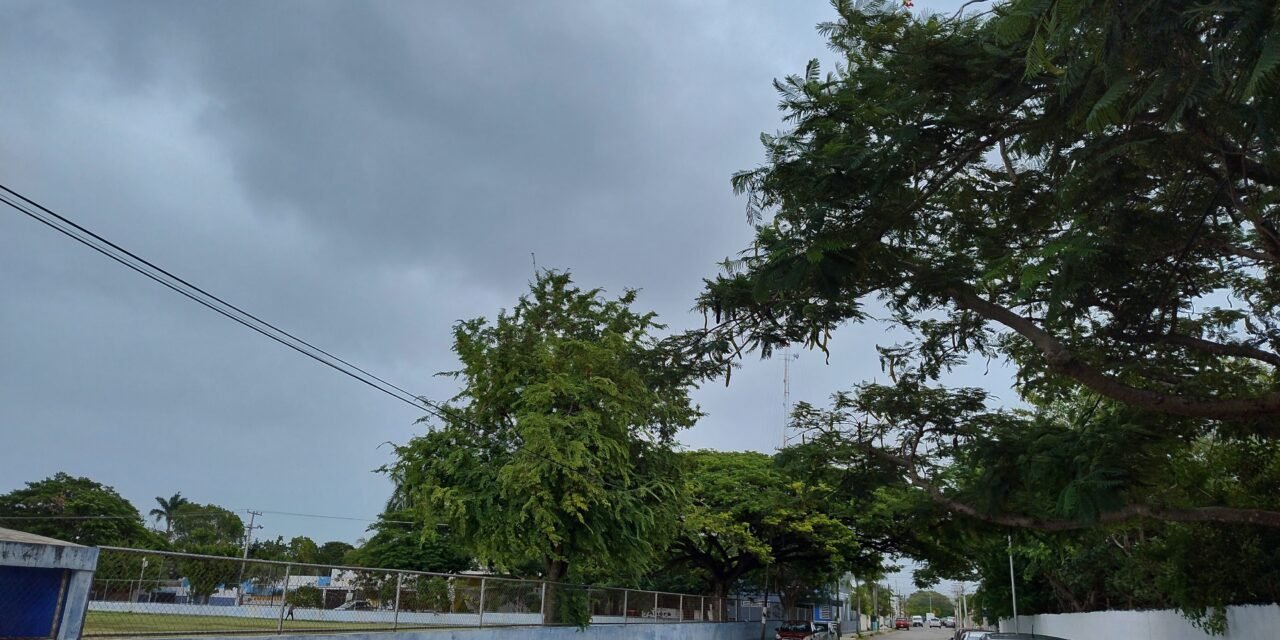 ¿Algo de Frío? El sur de Yucatán tuvo hasta 12 grados