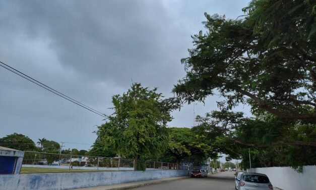 ¿Algo de Frío? El sur de Yucatán tuvo hasta 12 grados