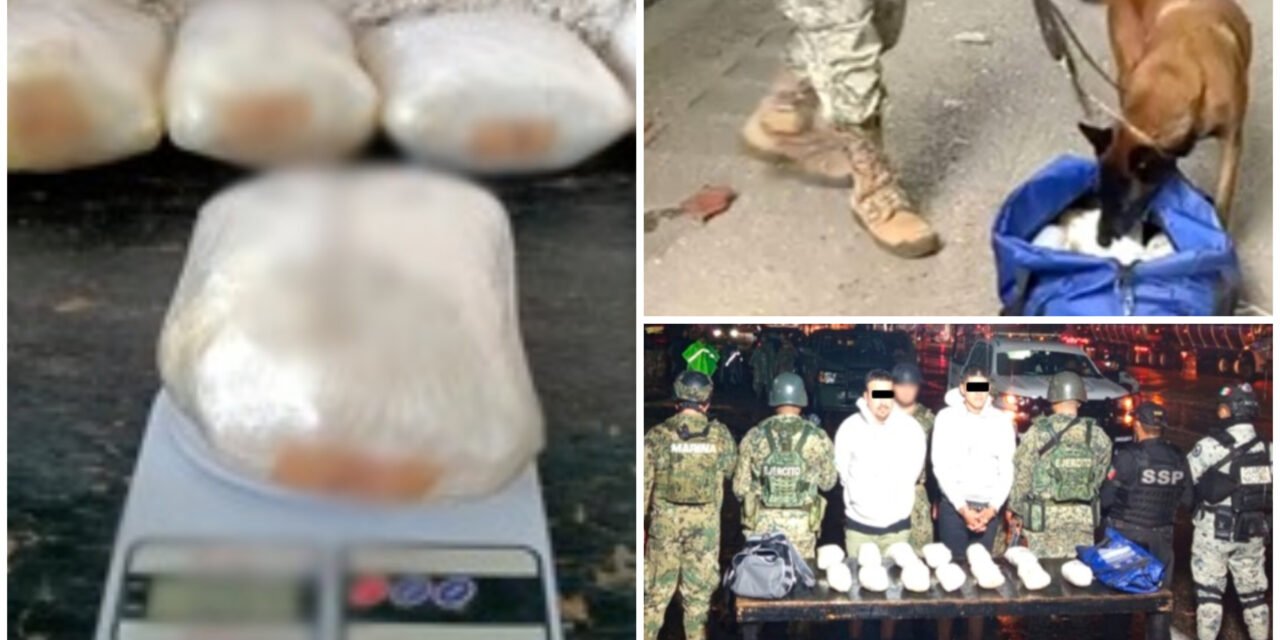 Viajaban al caribe mexicano y llevaban droga en el equipaje