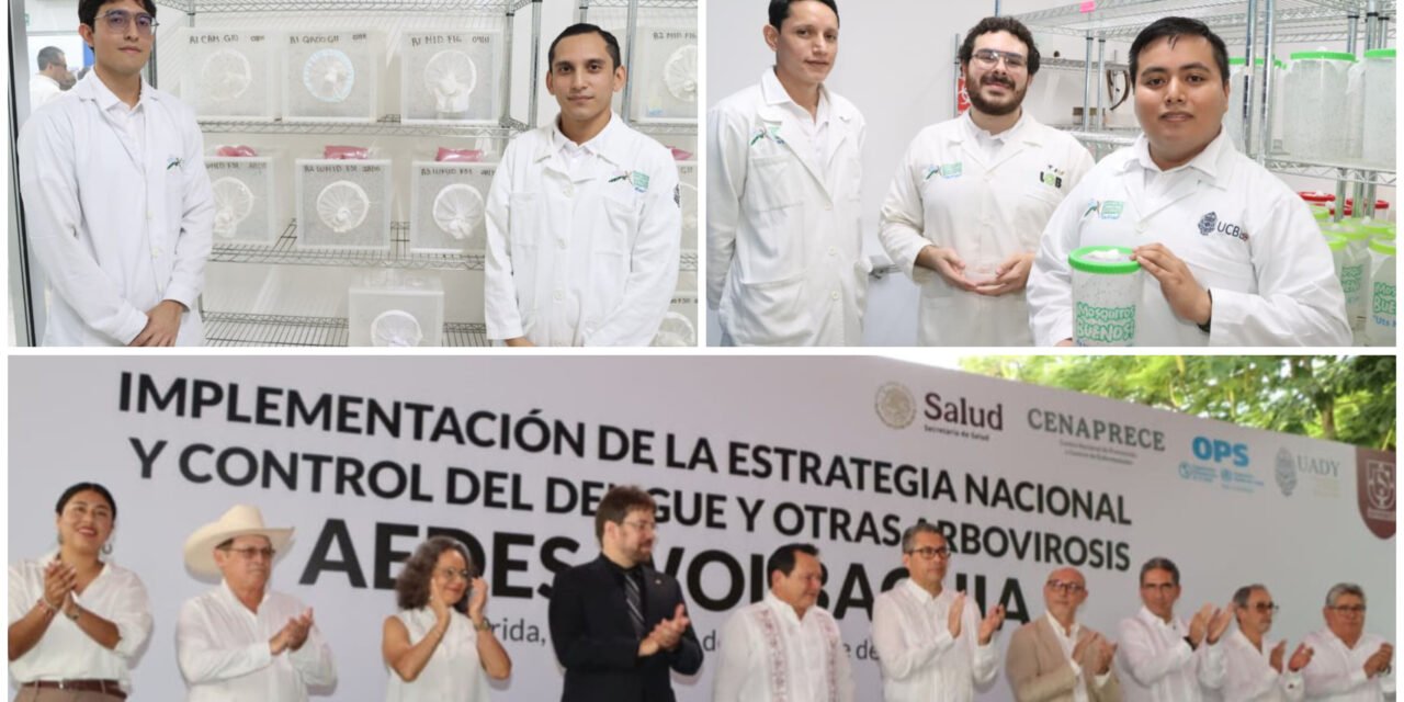 ‘Mosquitos buenos con Wolbachia’ al plan nacional contra dengue y más