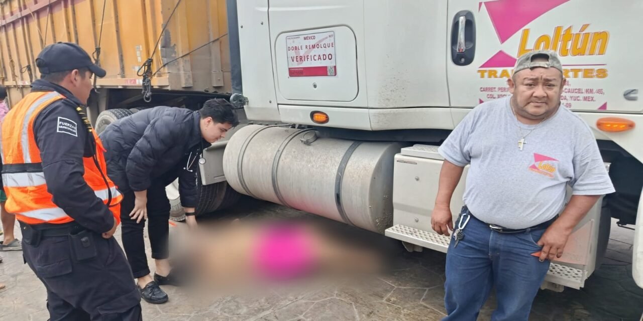 Atropellada junto al viaducto elevado de puerto Progreso