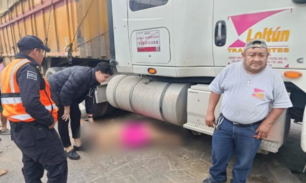 Atropellada junto al viaducto elevado de puerto Progreso