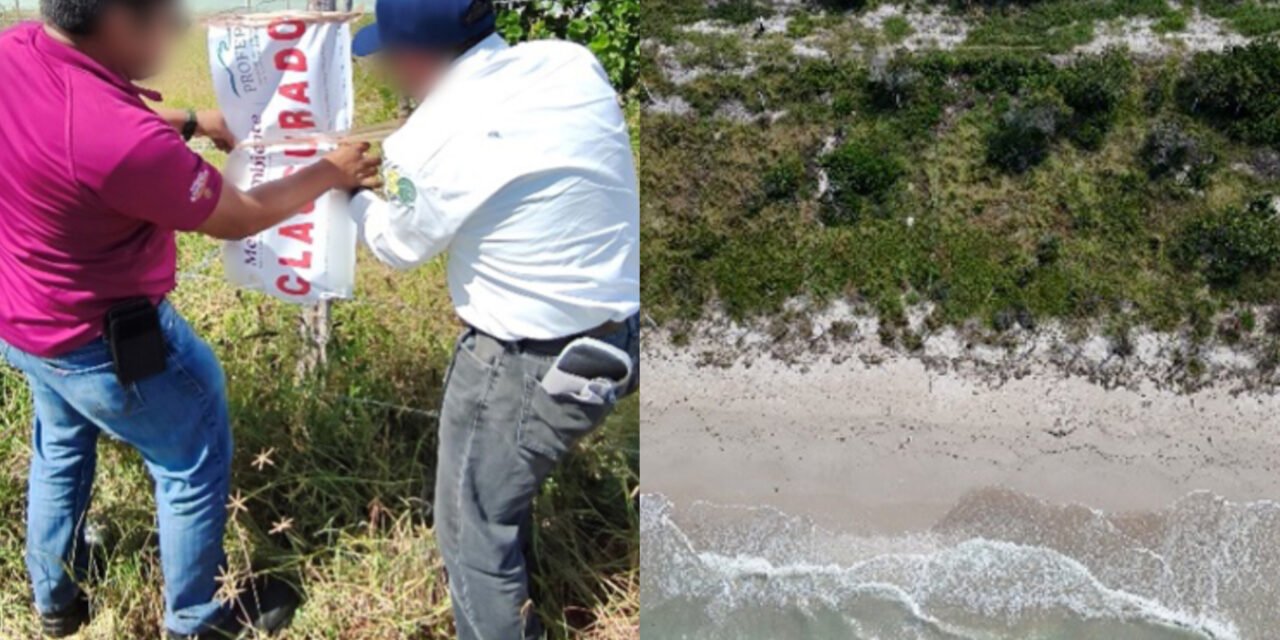 Clausuran obras ilegales dentro de la Reserva Ría Celestún