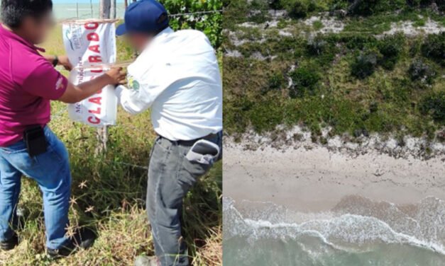 Clausuran obras ilegales dentro de la Reserva Ría Celestún