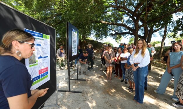 Primer biocorredor urbano de Mérida, en construcción