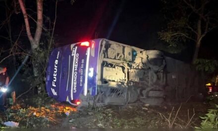 Autobús a precipicio en Sierra de Hidalgo: cinco&nbsp; muertos, 20 heridos