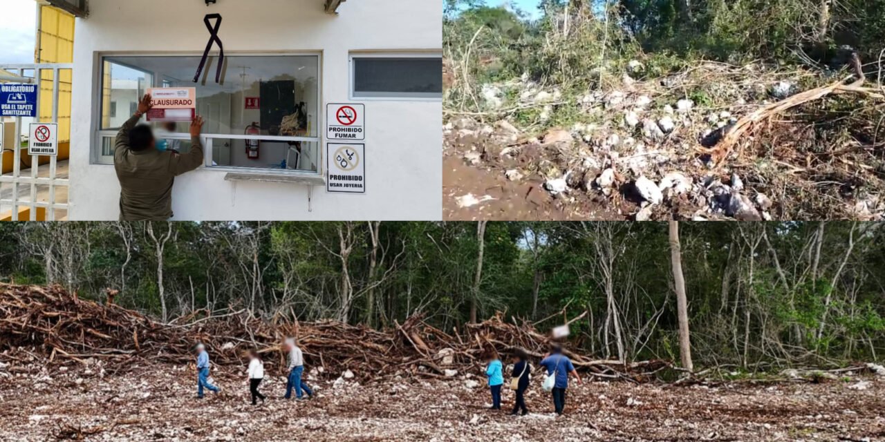 Zona arqueológica de Tzemé, en Kinchil, con daños mínimos