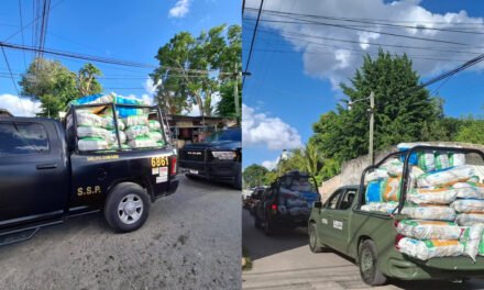 Decomisado: carbón vegetal en bodega en Kaua