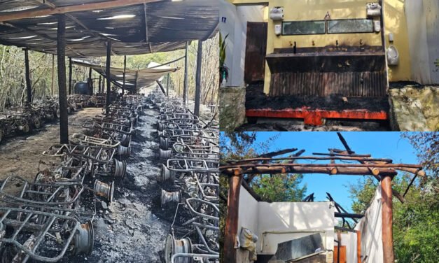 Incendio en Cozumel destruye bienes de empresa turística yucateca