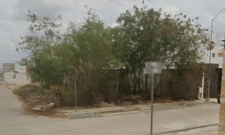 Ofrecen incentivos para eliminar baldíos en Mérida