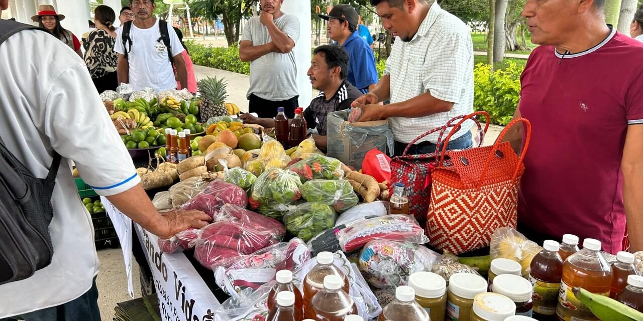 ‘Mercado Renacer del Campo Yucateco’, solo buen propósito