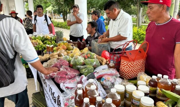 ‘Mercado Renacer del Campo Yucateco’, solo buen propósito