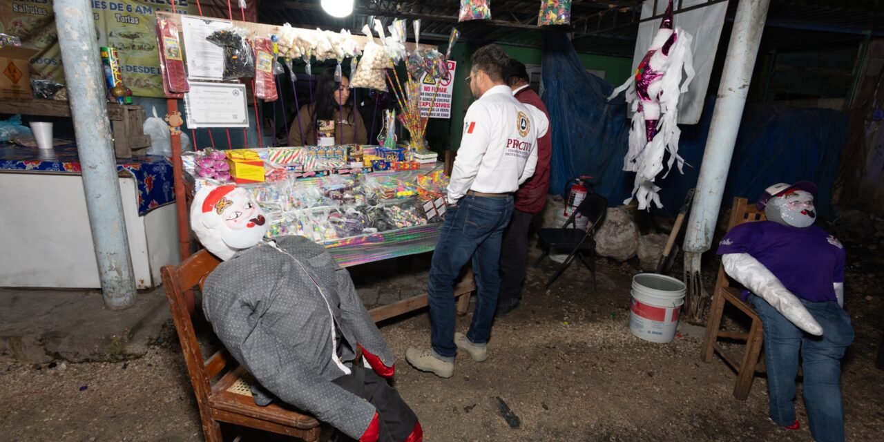 Llamando a no usar pirotecnia por afectación a niños autistas y animales