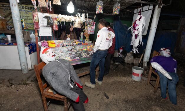 Llamando a no usar pirotecnia por afectación a niños autistas y animales