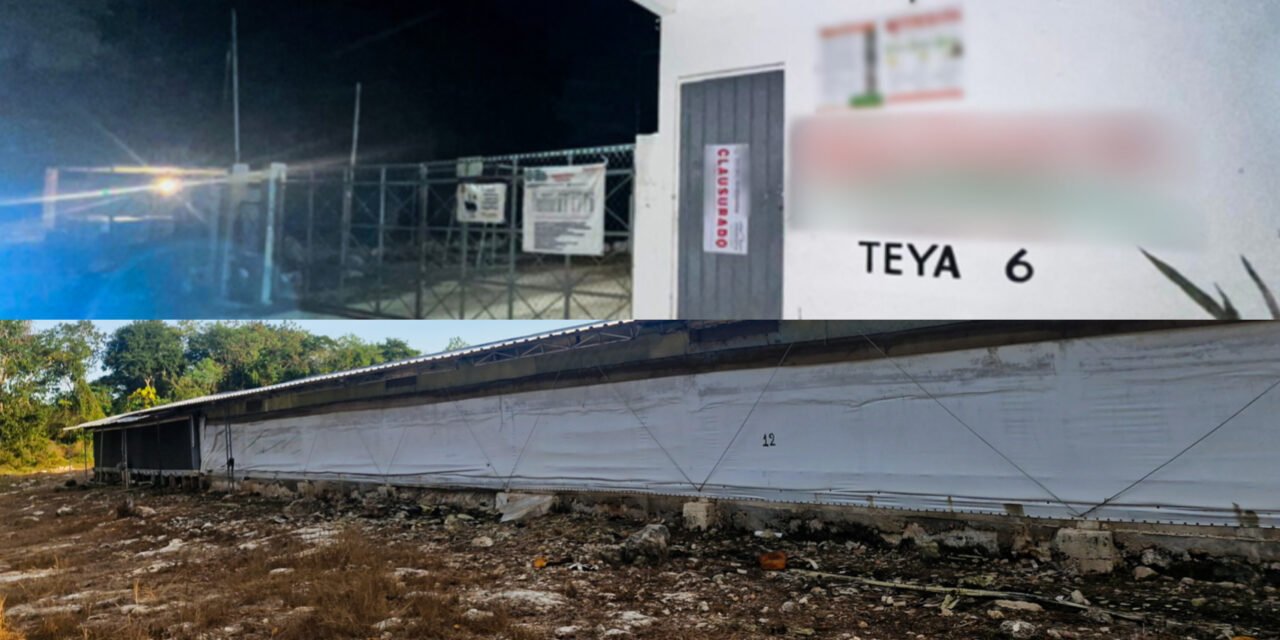 Frenan desmonte de selva sin permisos en Kanasín; daño alcanza 23 hectáreas