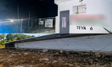 Frenan desmonte de selva sin permisos en Kanasín; daño alcanza 23 hectáreas