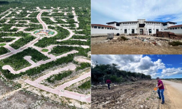 Frenan obras de inmobiliaria por incumplir normas ambientales en Chelem