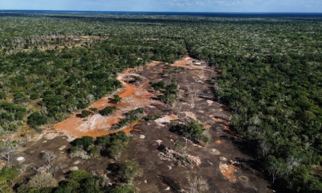 Afecta granja vegetación natural en Kinchil y clausuran predio
