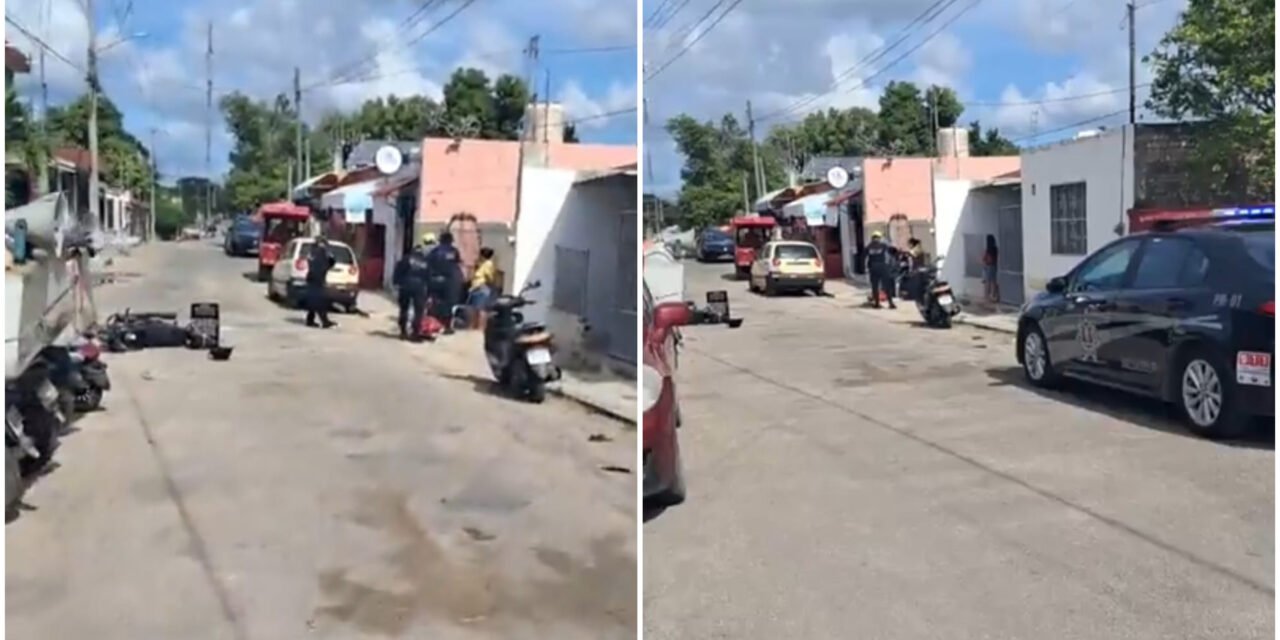 Lomito se llevó la peor parte y pereció atropellado