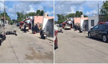 Lomito se llevó la peor parte y pereció atropellado