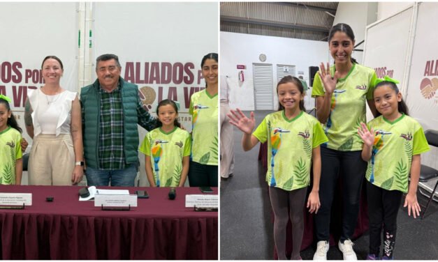 Natación Artística, a partir de la próxima semana en Mérida