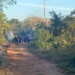 Fatal ataque de abejas en Temax: un fallecido