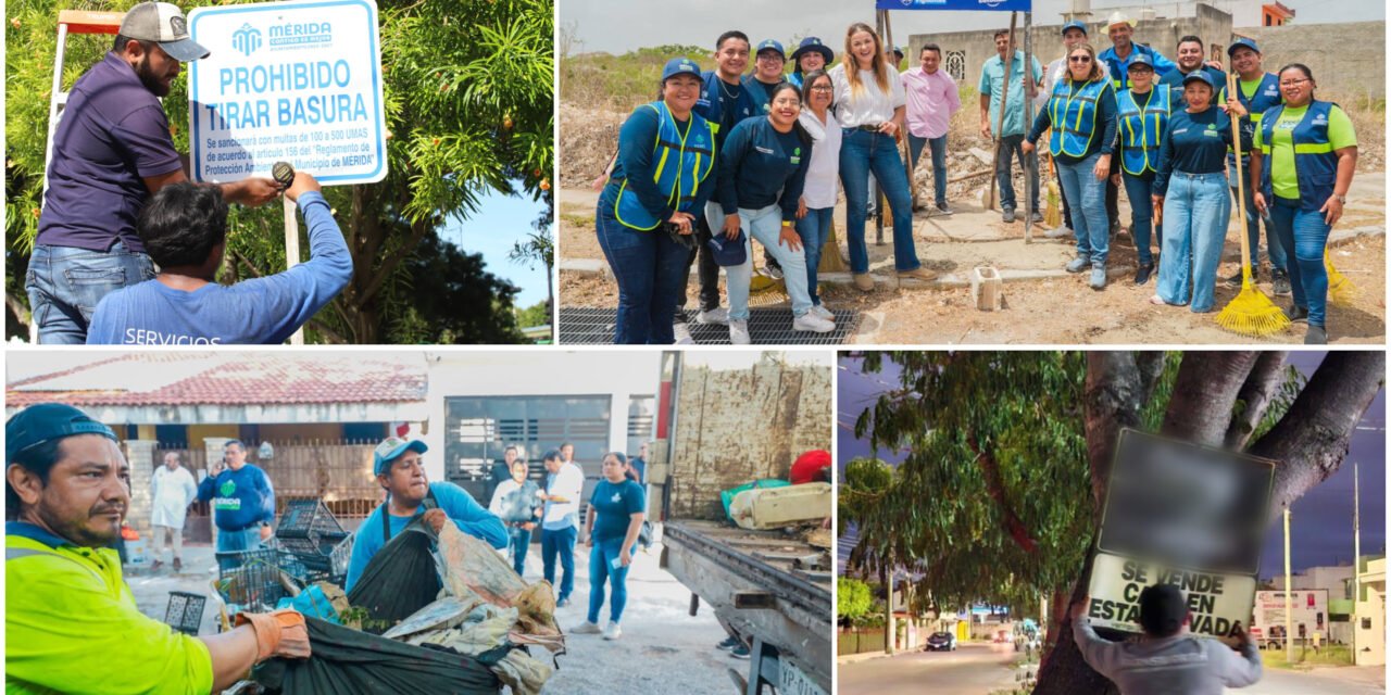 Lanza Cecilia Plan Mérida Ordenada