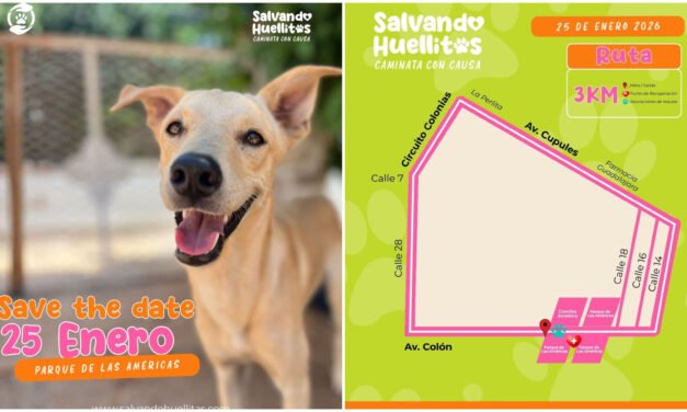 Caminata a favor de perros rescatados