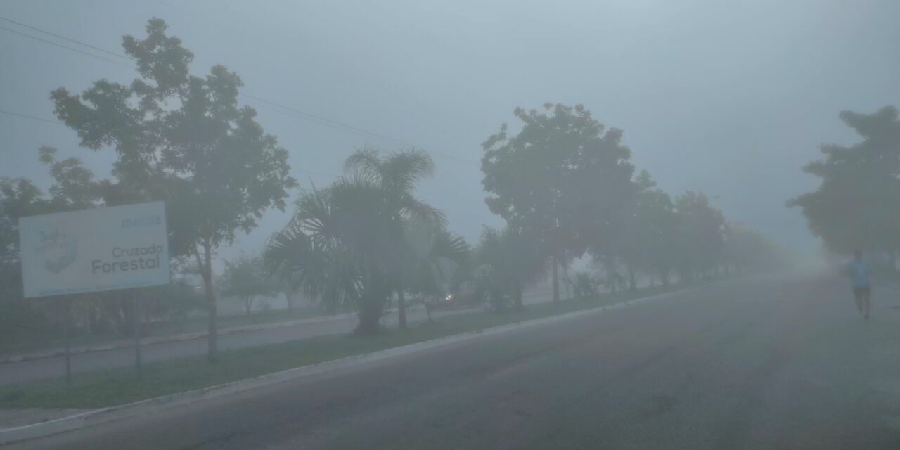 Escurrimiento del ártico alcanzará gran parte de México y península Yucatán