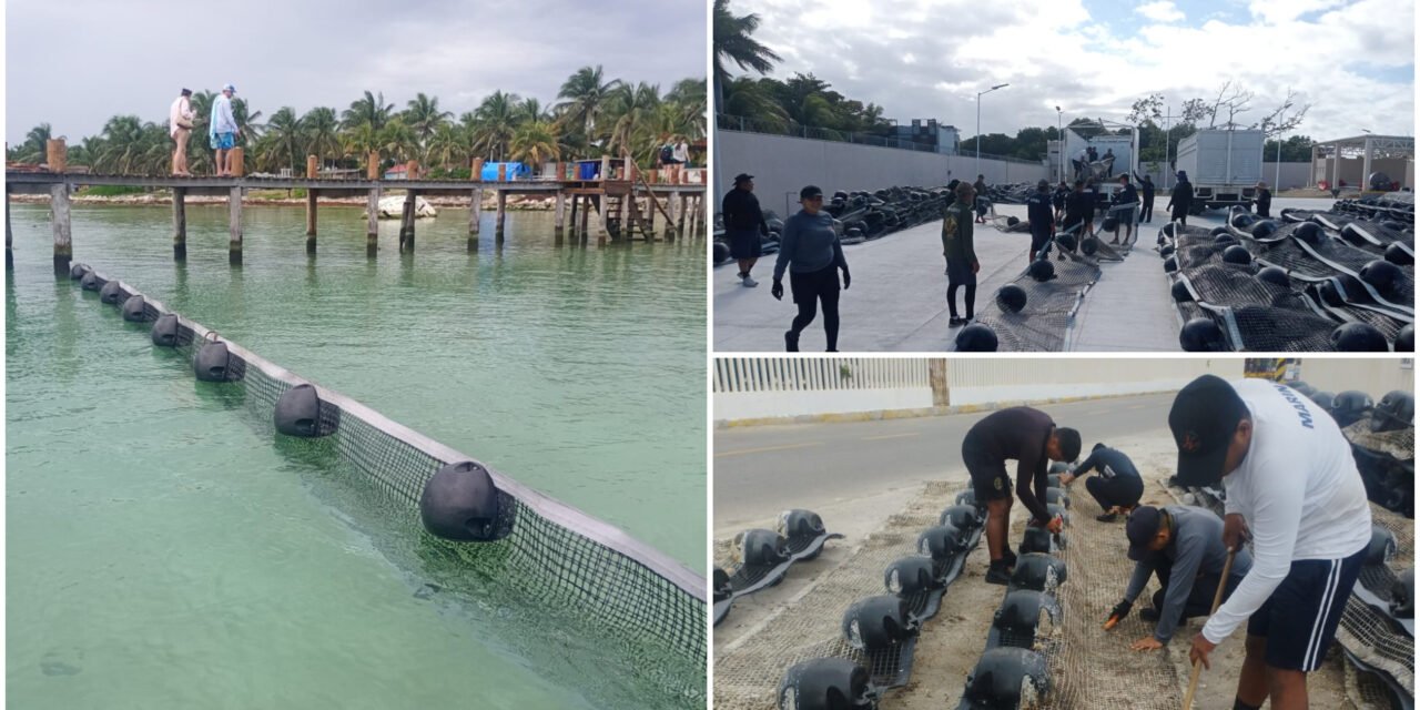 Sargazo, de atípico a ‘permanente’ en caribe mexicano