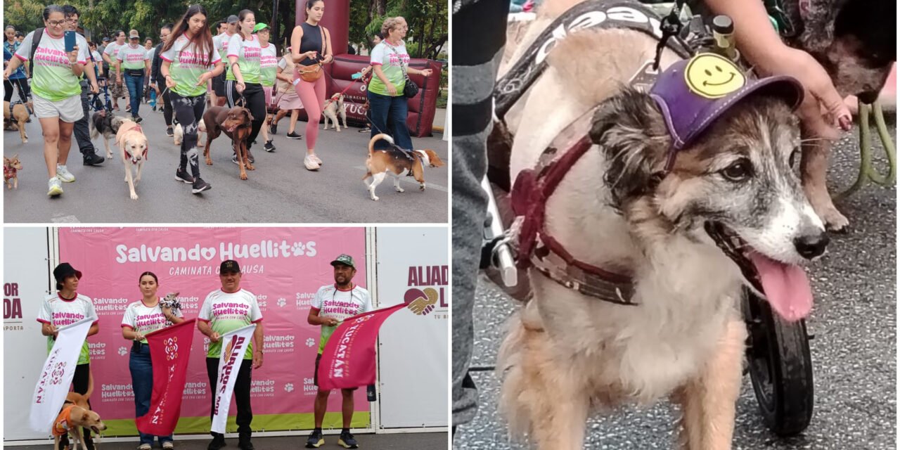 Entre ladridos y sonrisas: caminata ‘Salvando Huellitas’