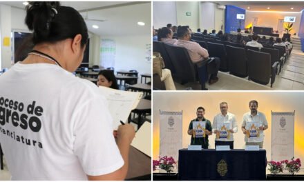 Jóvenes siguen optando por carreras tradicionales sobre ingenierías