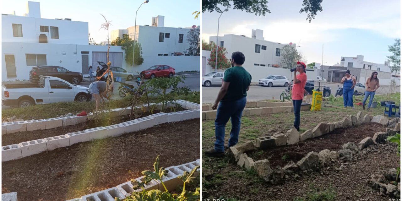 A revisión espacio de ‘huerto comunitario’ en Los Héroes