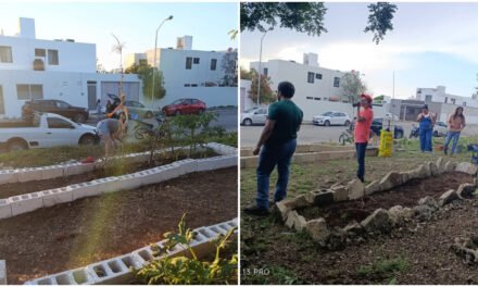 A revisión espacio de ‘huerto comunitario’ en Los Héroes