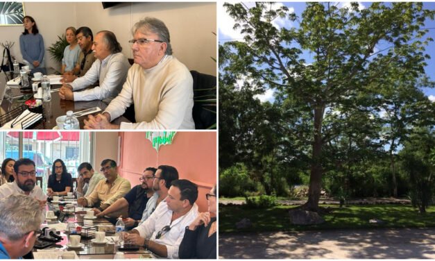 Divididos, residentes de La Ceiba II demandan municipalización