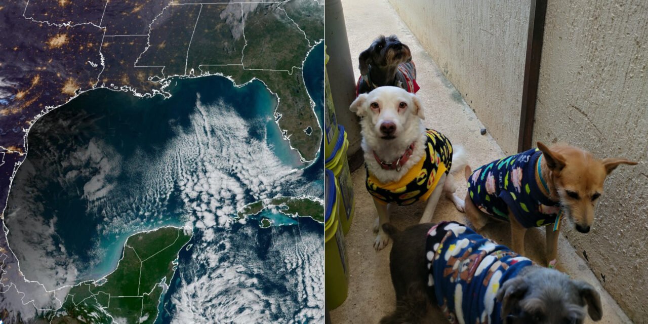 ‘Heladez extrema: hasta 4.4 grados en sur de Yucatán y 5.5 en Mérida