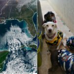 ‘Heladez extrema: hasta 4.4 grados en sur de Yucatán y 5.5 en Mérida