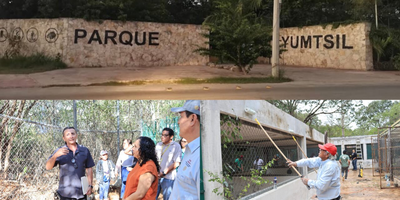 ‘Yumtsil’, refugio para fauna silvestre rescatada o en rehabilitación