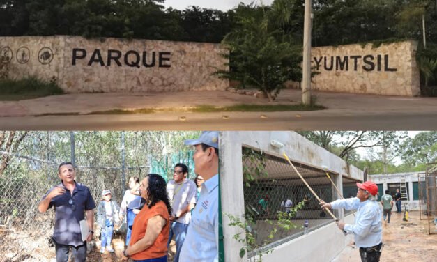 ‘Yumtsil’, refugio para fauna silvestre rescatada o en rehabilitación