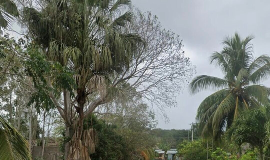 Cede un poco la ‘heladez’, hasta 4.0 grados en El Escondido, Cono Sur