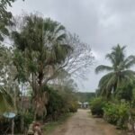 Cede un poco la ‘heladez’, hasta 4.0 grados en El Escondido, Cono Sur