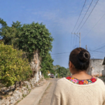 Oficial: Hasta 6.0 grados despidió masa de aire de histórico frente frío