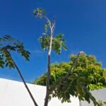 A partir del próximo miércoles un poco más de calor