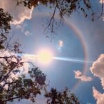 Calor hacia arriba, quinto registro más elevado de este año